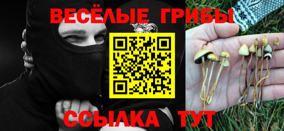 Галлюциногенные грибы ЛСД  дарнет шоп  Реж  Вход с VPN 